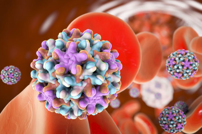 Epatite B cronica: scoperta una molecola che riattiva il sistema immunitario contro il virus - Virologia Today