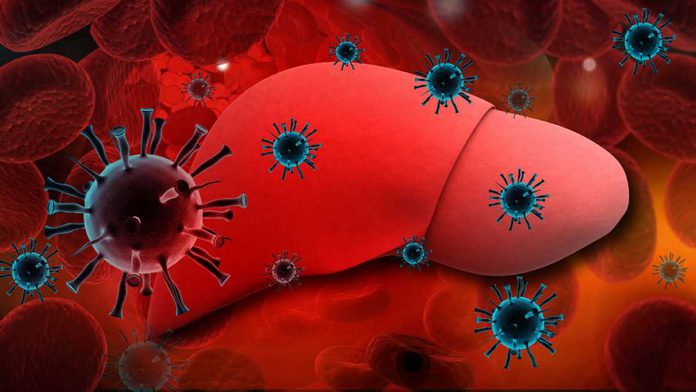 Associazione fra infezione da virus dell’epatite B e rischio di cancro